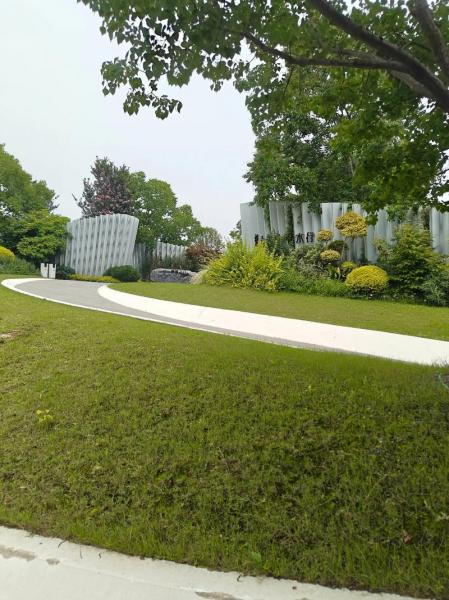 迈阿密国际新球场施工提速 草坪首现绿意 4月迎首秀