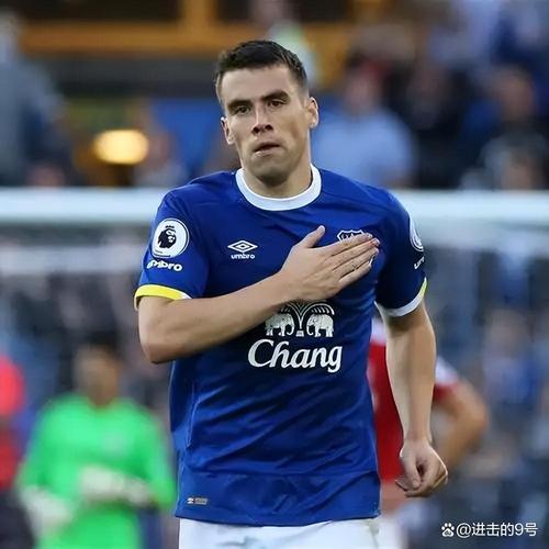 英格兰新晋国脚詹姆斯·加纳：多面手是优势 谢莫耶斯助力