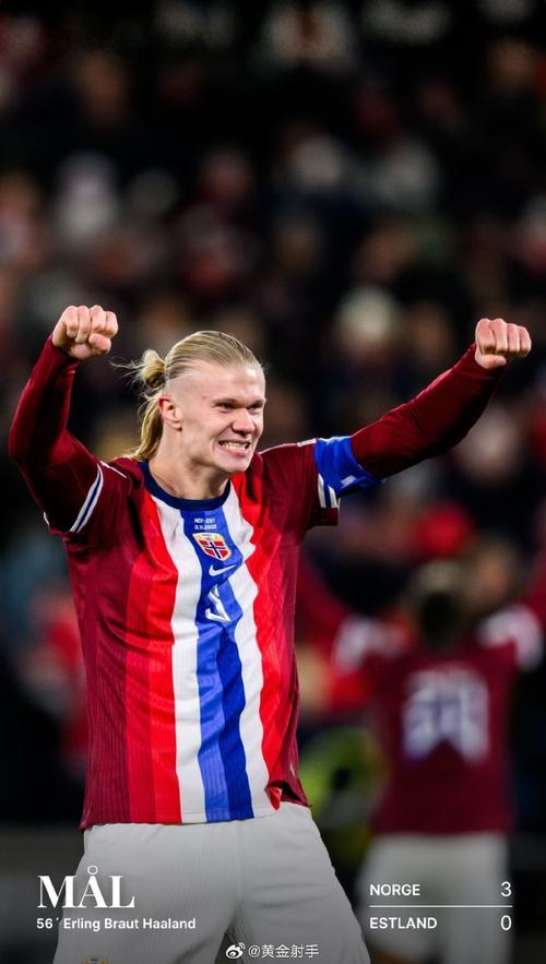 挪威主帅确认哈兰德战荷兰休战 留力对阵瑞士