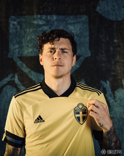瑞典队长林德洛夫弃保护面具 为世界杯门票愿冒鼻伤风险