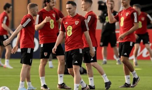 皮亚尼奇点评意波世预赛附加赛:波黑主场或将震慑对手