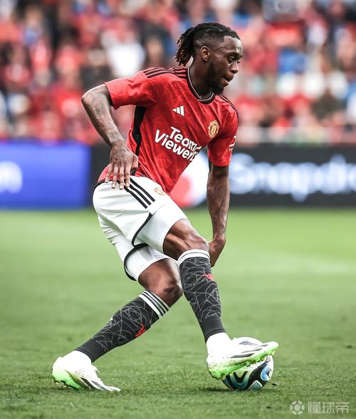 《每日邮报》：卡罗尔执教两连胜 坦言只想每日踢球